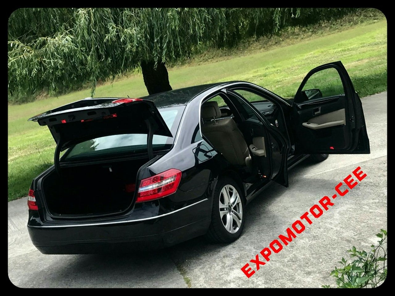 bg