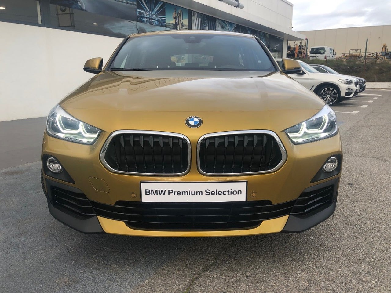 BMW X264298874977538122