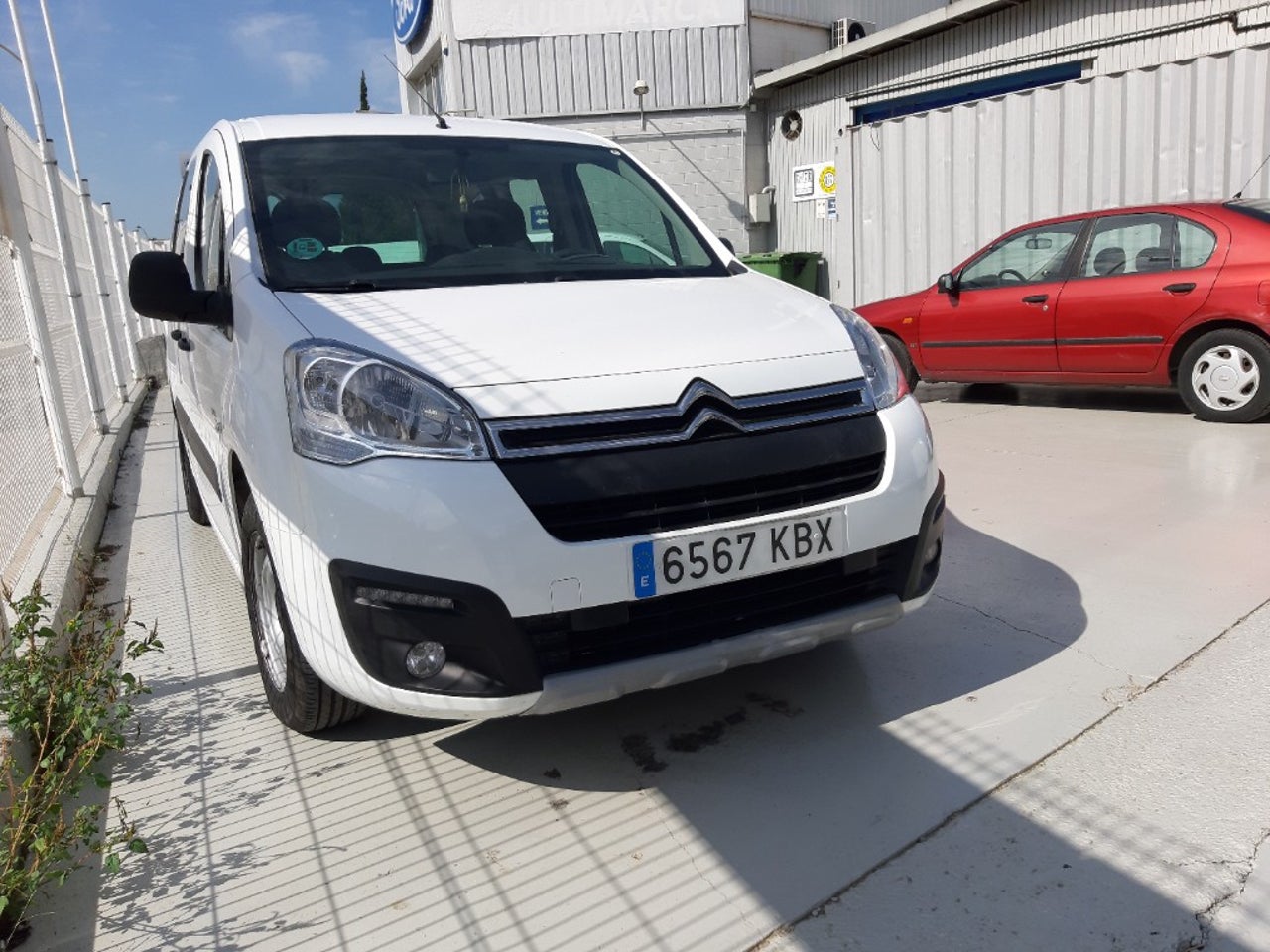 bg