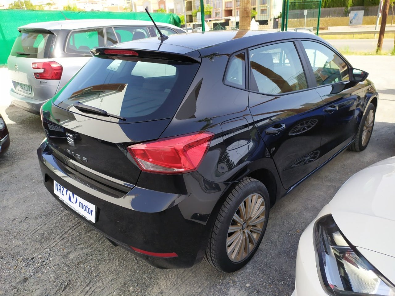 bg