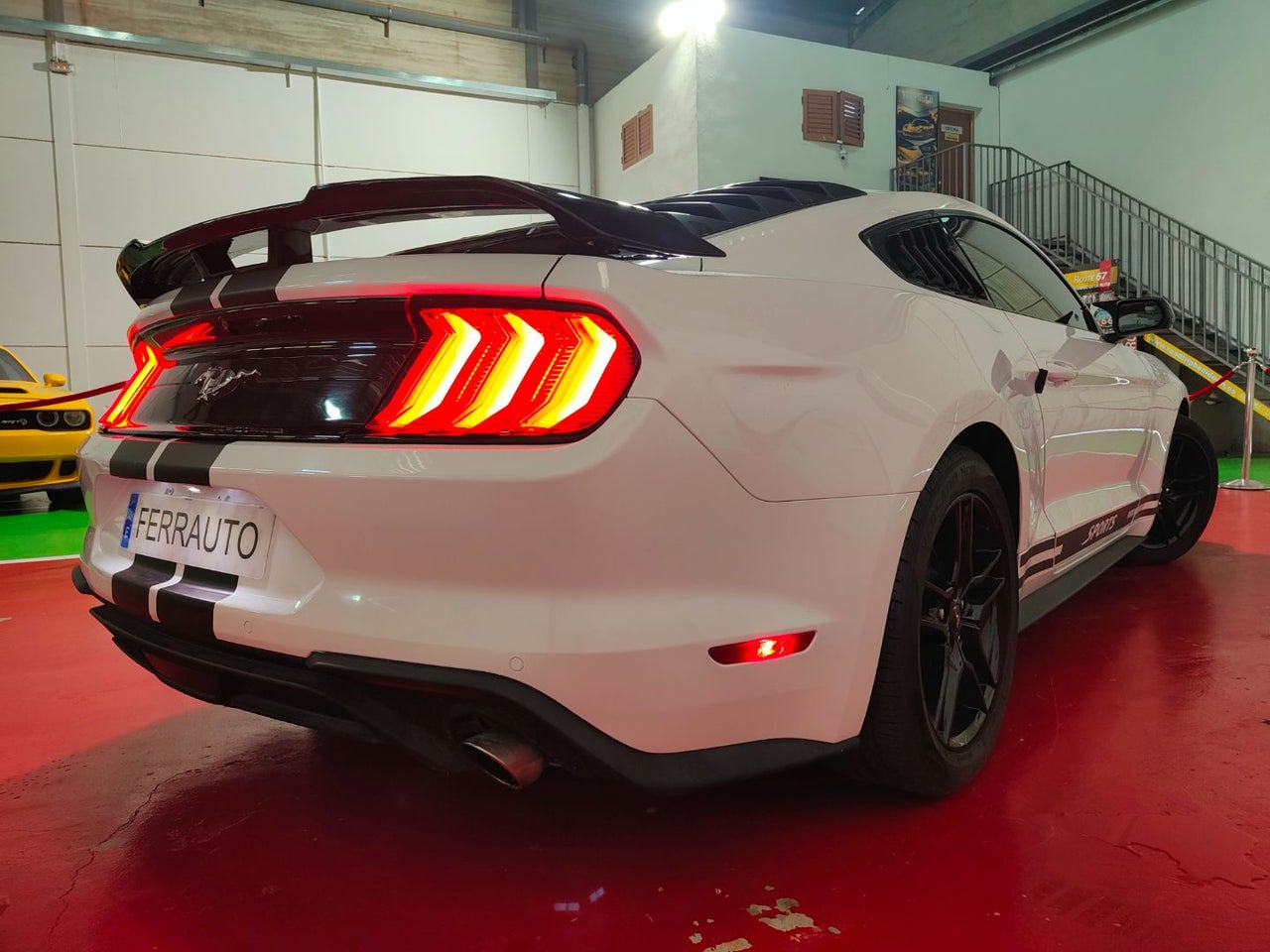 bg