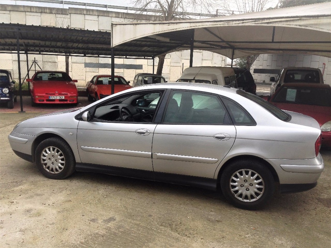 bg