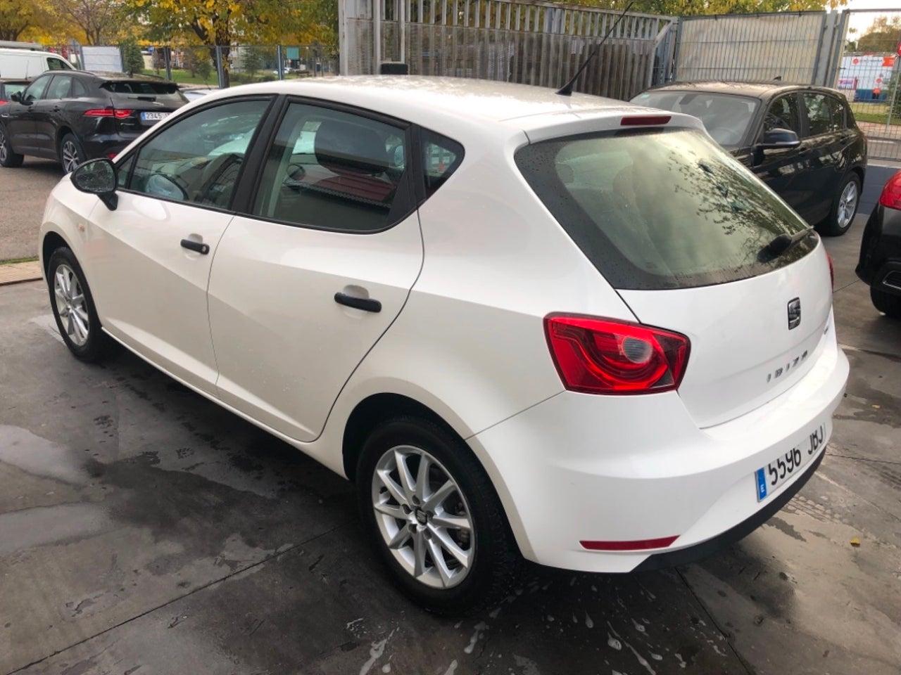 bg